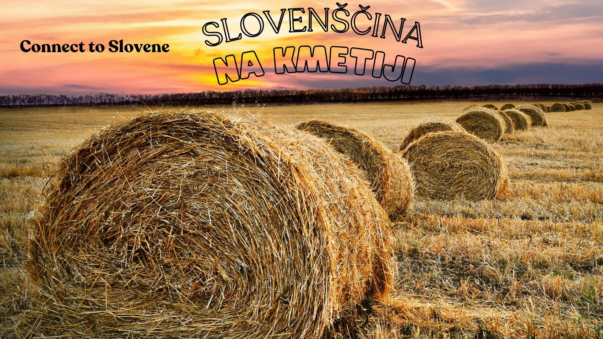 Connect to Slovene: Slovenščina na kmetiji